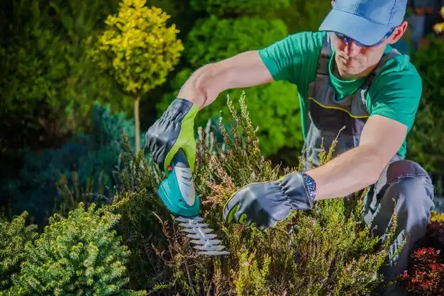 landscaping services Mahopac